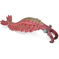 Collecta Tierfigur Hase - Detailgetreue Sammelfigur Produktbild-Vorschau 9