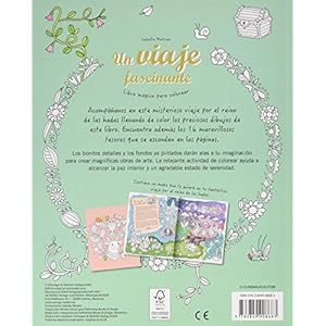 Un viaje fascinante: Libro mágico para colorear