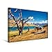 Produktbild Calvendo Premium Textil-Leinwand 45 cm x 30 cm Quer, Zwei Pferde an Einem Fluss vor der Traumkulisse des Torres Del Paine National Parks | Wandbild, Bild auf Paine National Park, Chile Orte Orte