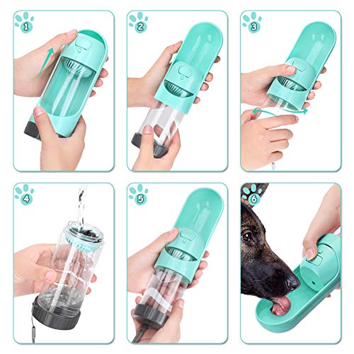 Botellas De Agua Para Ahuyentar Gatos