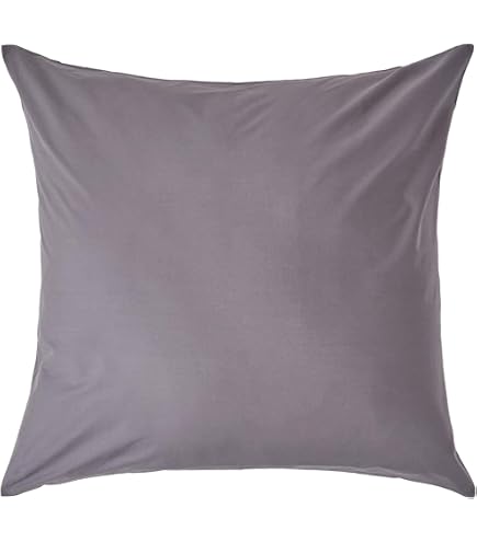 Homescapes Set Di 2 Cuscini In Microfibra Super Morbida – Qualità Hotel Con Federa 100% Cotone – Ipoallergenici