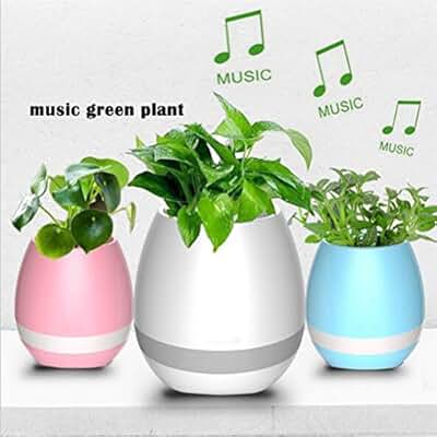 Suchergebnis auf Amazon.de für: Plastik - Übertöpfe / Pflanzengefäße