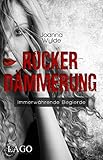 Image de Rockerdämmerung: Immerwährende Begierde (Reapers Motorcycle Club)