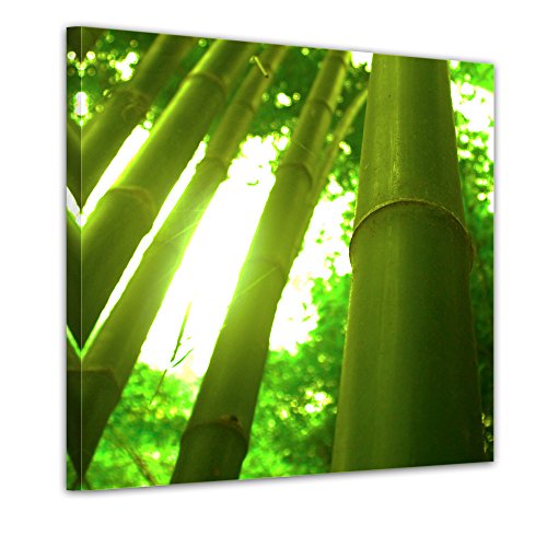 Wandbild – Set Pflanzen – 4teilig – je 20x20cm – Kunstdruck – eigene Herstellung - 4