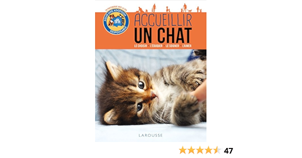 Amazon Fr Accueillir Un Chat Bulard Cordeau Brigitte Livres