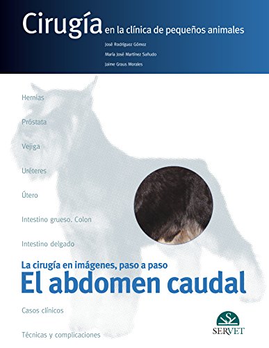 Al abdomen caudal/ The Abundant Abdomen: Cirugia En La Clinica De Pequenos Animales/ Surgery in the Clinic of Small Animals Al abdomen caudal/ The Abundant Abdomen: Cirugia En La Clinica De Pequenos Animales/ Surgery in the Clinic of Small Animals