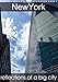 New York reflections of a big city (Wall Calendar 2015 DIN A4 Portrait) (Calvendo Places) by ggemini