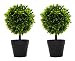 Produktbild DARO DEKO Kunst-Pflanze Buchs-Baum mit Stamm 2 Stück