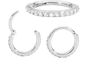 365 Sleepers acciaio chirurgico 316L unisex 16G gemma anello segmento incernierato elica trago setto naso orecchino ad anello piercing per il corpo gioielli 7mm - 14mm