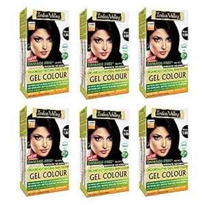 INDUS VALLEY Organically Natural Damage free Gel Colour Black 1.0 For Hair Herbal for Moustache & Beard (Pack of 6) 20g*6=120g,200ml*6=1200ml