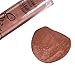 CHIC*MALL 16 Colors Waterproof Long Lasting Matte Lip Gloss Not Stick On Cup Lipstick Cosmetic (brown)