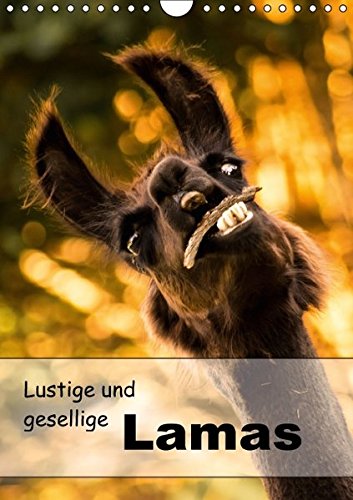 Lustige und gesellige Lamas 2016 (Wandkalender 2016 DIN A4 hoch): Liebevoll gestaltete Lama Fotografien. (Geburtstagskalender, 14 Seiten ) (CALVENDO Tiere)