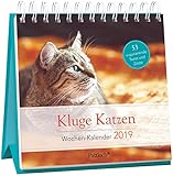 Image de Kluge Katzen - Wochen-Kalender 2019: zum Aufstellen m. Fotos u. Zitaten, inspirierende Texte auf d.