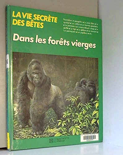 Dans les forêts vierges