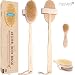 Nature Dry Body Brush & Dry Skin Brushing -AsaVea Reduces Cellulite Stress While Boosting Immune System Skins Appearance Circulation, All-Natural Materials Long Wood Handle Boar Bristle Brush, Scrub Away Old Age Today RS.2891.00