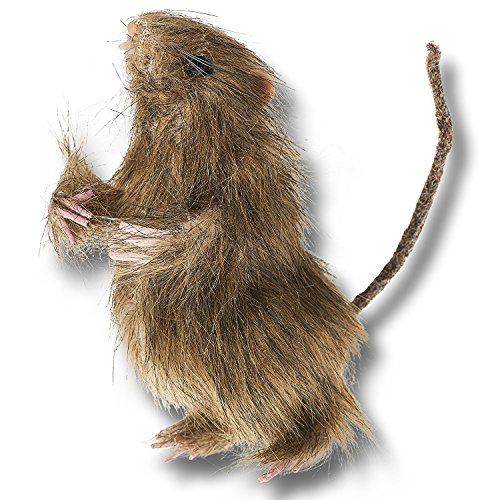 Prextex Realistic Mini Hairy Rats for Best Halloween Decoration