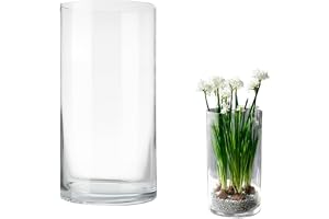 LOMUG Cylindervas stor glasvas 25 cm hög transparent blomvas Ø 12 cm dekoration cylindervas ljusglas rund modern stor cylinde