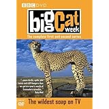 Big Cat Week: The Complete First and Second Series [DVD] (2004/2005)