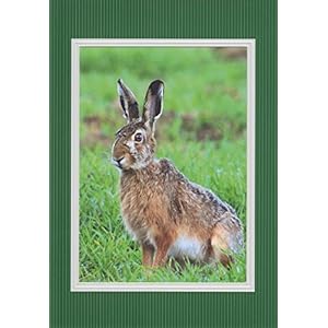 Handmadegruss Jagd Grußkarten. Weidmannsheil! Wir sind seit Jahren erfolgreich die erste Adresse für Jäger/innen in Europa