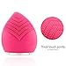 SUNMAY Sonic Facial Cleansing Brush and Massager, Anions Import FDA Grade Silicone, Rechargeable Waterproof Anti-Aging Face Body Exfoliator Makeup Tool Updated Version