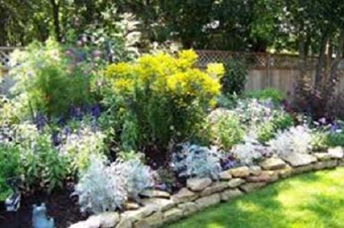 Preisvergleich Produktbild AGROBITS Stange Solidago y100flies, s, Bienen! Gratis Sp!