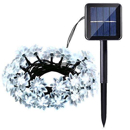 lederTEK, Solar Lichterkette 6m 30 LED Lotosblume Außenlichterkette Wasserdicht mit Lichtsensor Weihnachtsbeleuchtung, Beleuchtung für Haushalt, Außen, Garten, Hochzeit, Weihnachten(weiß)