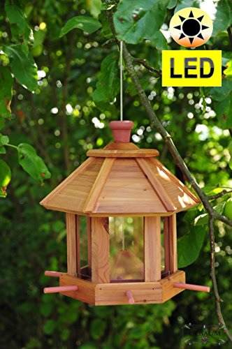 Vogelhaus,großes Holz-Vogelhäuschen, PREMIUM ZEDER wetterfest,mit Silo + LED-Licht, Nistkasten Vöglehus Vogelvilla Futterkasten + 6x Futterstation