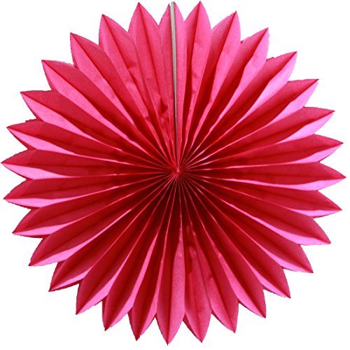 SUNBEAUTY 5er Set Pink Rosa Serie Tissue Papier Pompom & Fächer & Honeycomb Wabenball & Wassertropfen & Lampion Mixed Geburtstag Feier Party Dekoration (Fuchsia 5 Stück) - 6