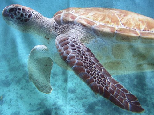 Proflax Kissenhülle 6555 Toto (Schildkröte)