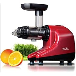 Extracteur de jus horizontal VitalJuicer