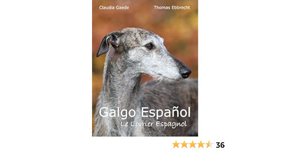 Galgo Espanol Le Levrier Espagnol Ebook Gaede Claudia Ebbrecht Thomas Amazon Fr Livres