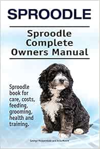 springerdoodle price