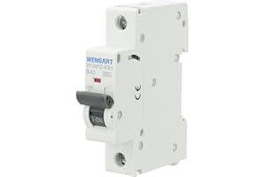 Wengart Interruttore in miniatura domestico WGM12-63H, AC230V 40A 1P 10kA, protezione da sovraccarico e cortocircuito, adatto per circuiti domestici e sistemi di illuminazione