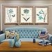 Produktbild ABM Home - Blumen (3 Set), großes Wandbild Bilderrahmen, Vintage-Stil, Wall Mural, gerahmt Leinwand, große Poster Wall Art Gold A