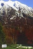 Image de Le signore dell'Alpago. La necropoli preromana di Pian de la Gnela a Pieve d'Alpago (Belluno)