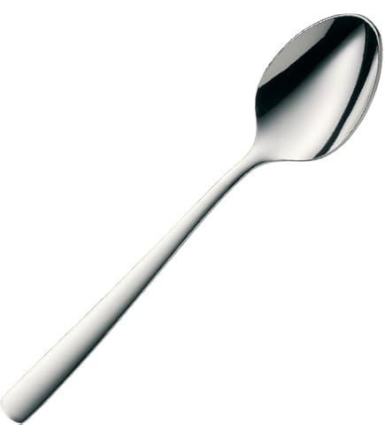WMF Nuova 316 Stainless Steel Serving Spoon Soup [Aesthetic Life