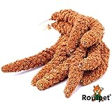 Rodipet® Rote Kolbenhirse 170 g