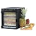 Produktbild desidratador Sedona Express – 3 Modi Betrieb, 600 W, Digitale Steuerung, Oberfläche Entwässerung: 8.820 CM2 30.5 x 35.6 x 44.5 cm (LxFxH) Bandejas Acero inoxidable