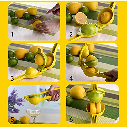 cmykzone Entsafter, manuelle Zitruspresse, Edelstahl, Schwere Pflicht, geeignet für Entsaften orange, Zitrone (rot) - 6