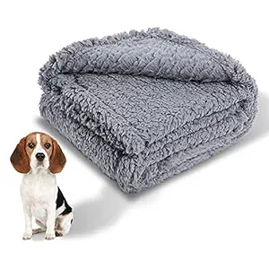 Fuzzy Puppy Blanket Warm Fleece Small Dog Blankets Boy Sherpa Washable Fluffy Pet Cat Throw Pad Couch Cover Premium Gray