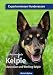 Produktbild Kelpie: Australian und Working Kelpie