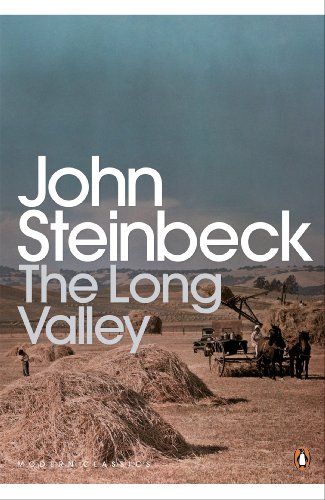 Book's Cover ofThe Long Valley