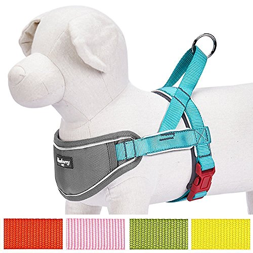 Blueberry-Pet-3M-Reflective-Strips-Nylon-Solid-Color-Neoprene-Padded-AntiNo-pull-Adjustable-Dog-Training-Harness
