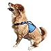 Produktbild Zorara No-Pull Hundegeschirr, Atmungsaktiv Vest Geschirr Mesh Brustgeschirr für Hunde, Reflektierend Einstellbar Weich Geschirr Sicher Kontrolle Dog Harness Gepolstert (M, Blau)