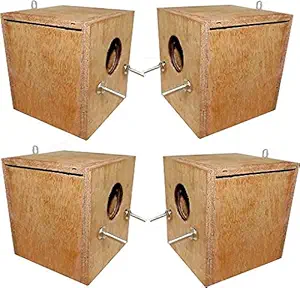 Breeding BAX for Zava Zibra Finches and Small Budgies