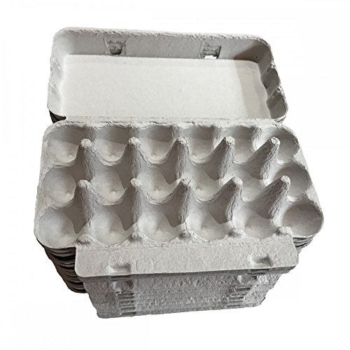 Cardboard Boxes for Egg Quail Pack of 20 Garden Outdoor Store