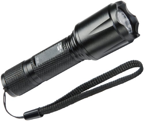 Preisvergleich Produktbild Brennenstuhl LuxPrimera 100 LED-Taschenlampe IP65, 1178700
