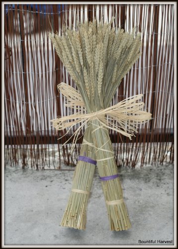Dried Wheat Bunch Sheaf & Dried Lavender Bunch with Pink Daisies Shabby Chic Flowers Wedding Table (One Wheat Bunch)