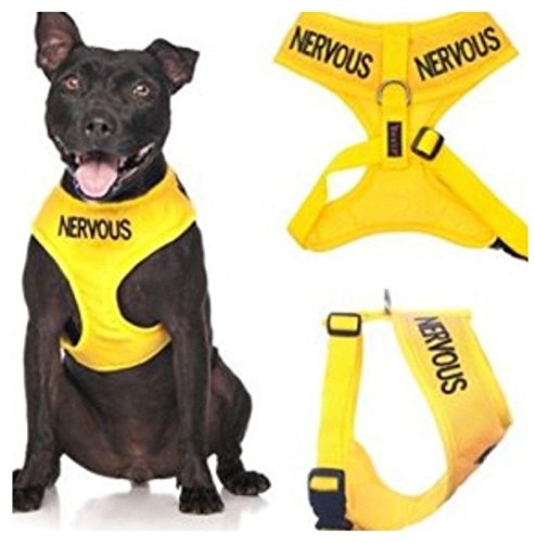 Dex-il Colour Coded Dog Warning Awareness Harnesses Leads Collars Coats  NERVOUS (XSmall Vest 33-48cm)
