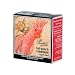 Henna Light Red 4 Ounces [Misc.]